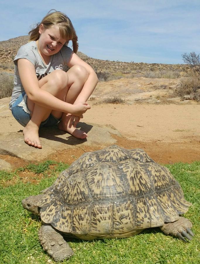 Sperrgebiet Lodge Springbok Bagian luar foto